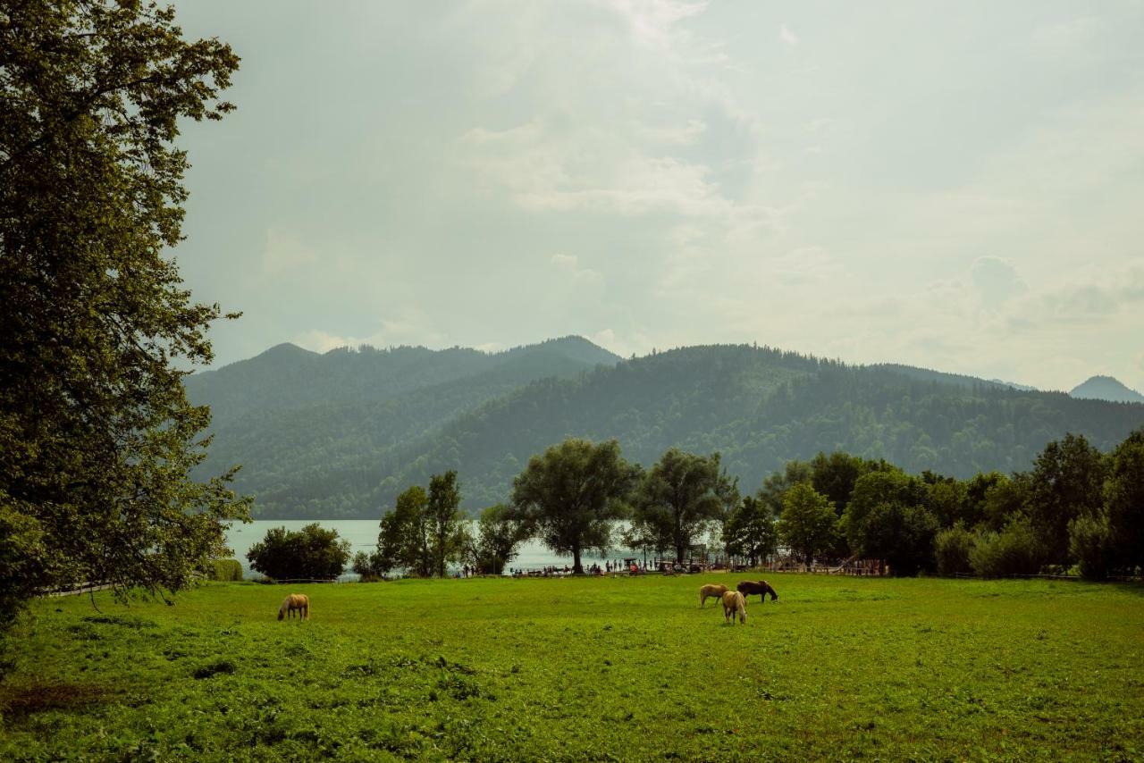 Ferienwohnung Glaserhaeusl Am Rossgarten Schliersee Dış mekan fotoğraf